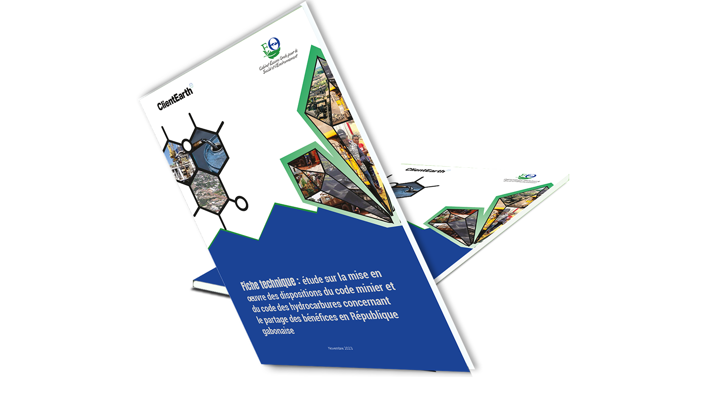 Rapport d'activité
